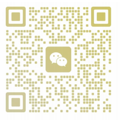 the qr code